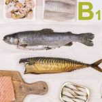 B12 vitamini hangi besinlerde