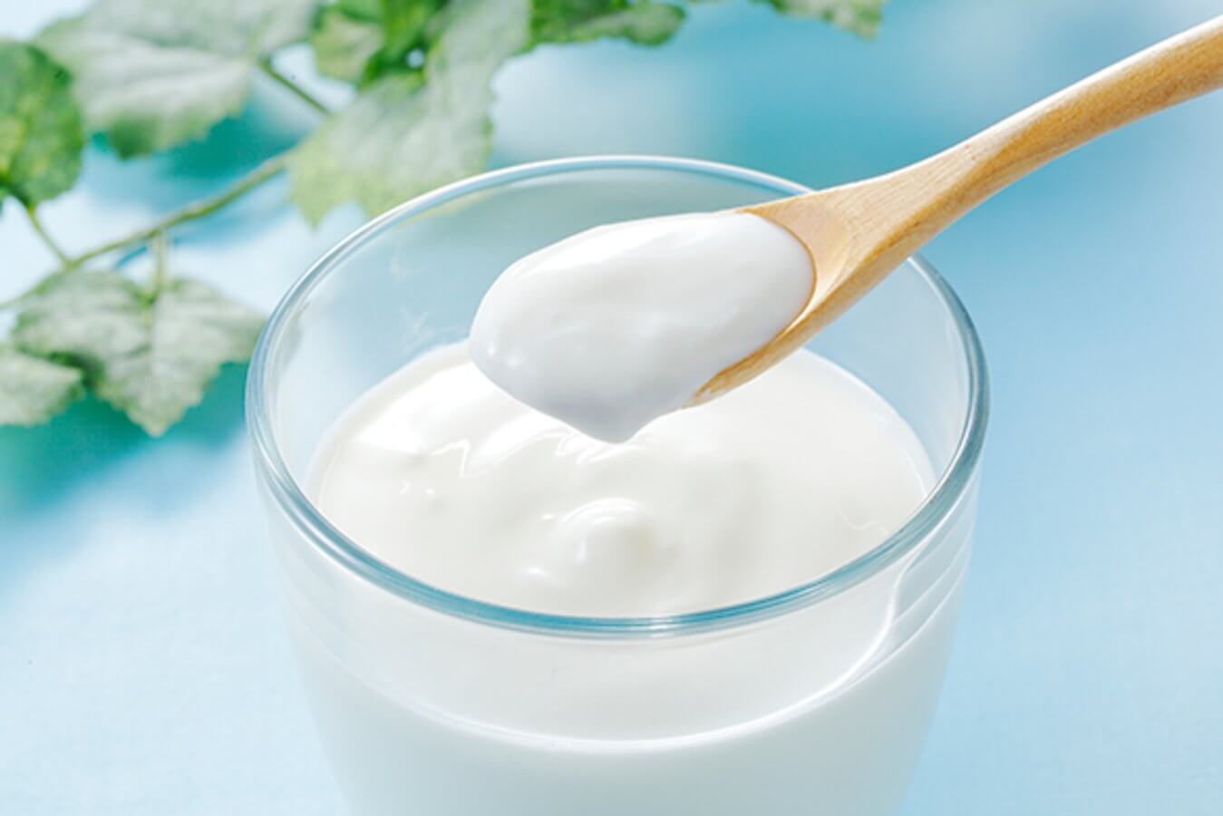 yoğurdun faydaları