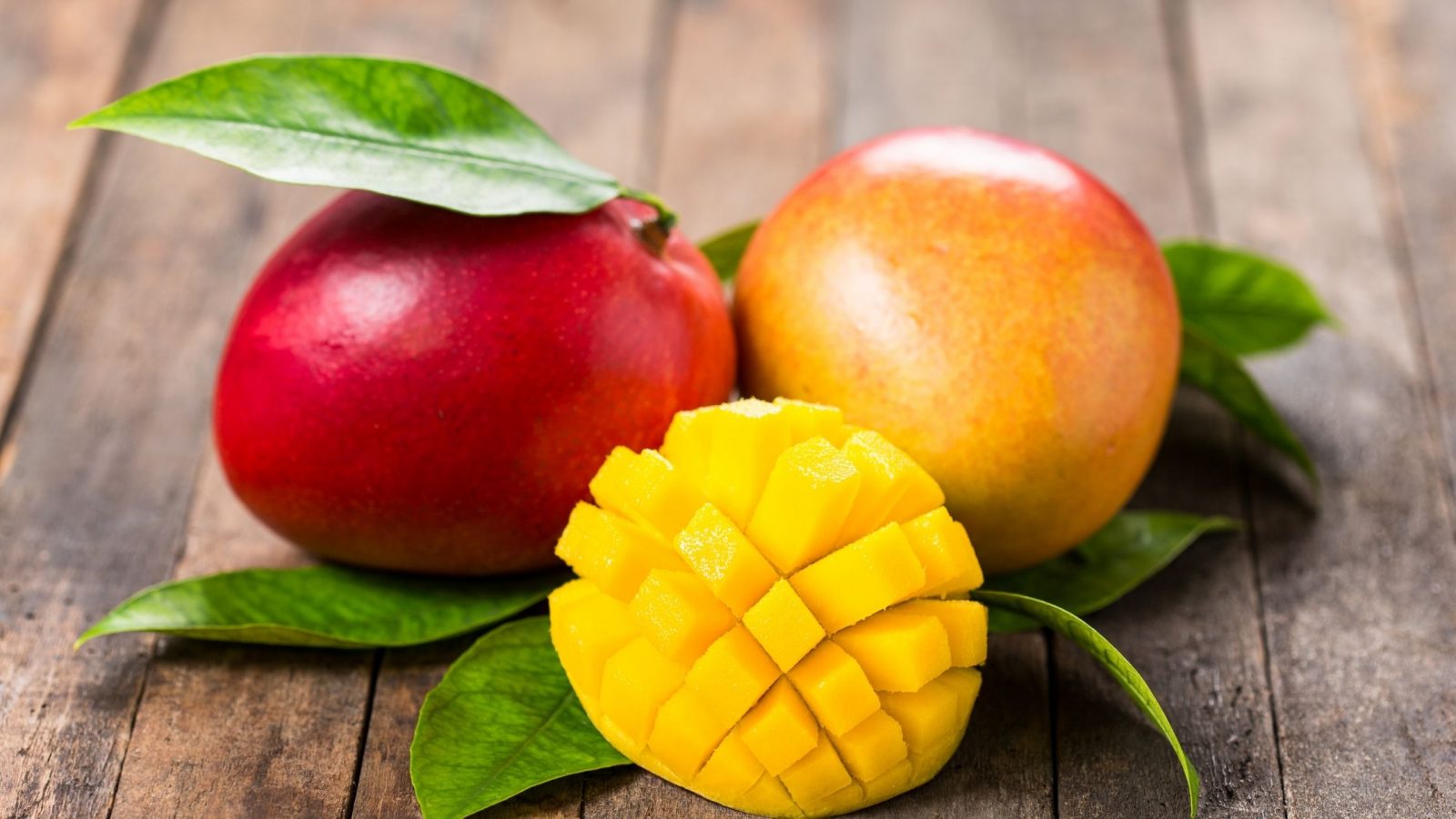 mangonun faydaları
