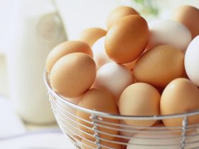 Bayat yumurtayı anlamanın